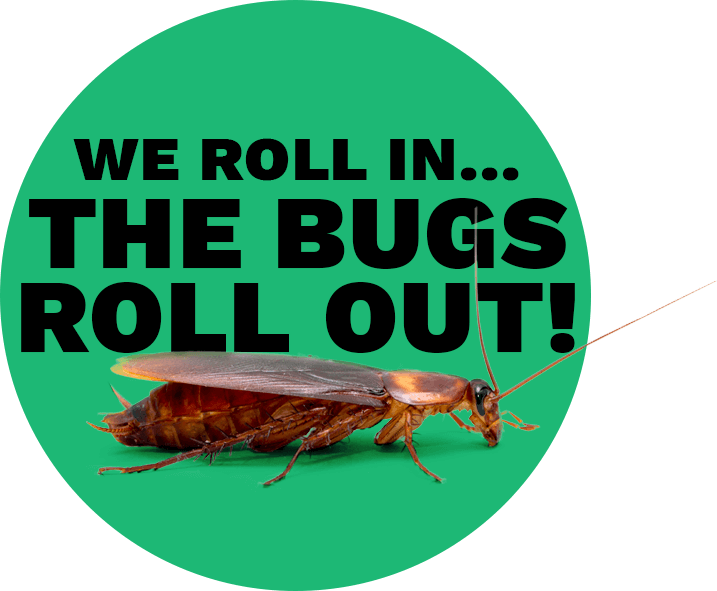 Branded graphic with cockroach