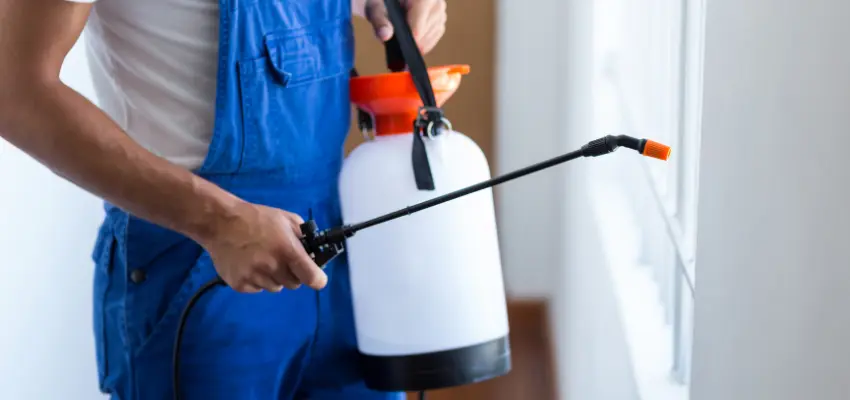 Midsection of pest control worker with sprayer