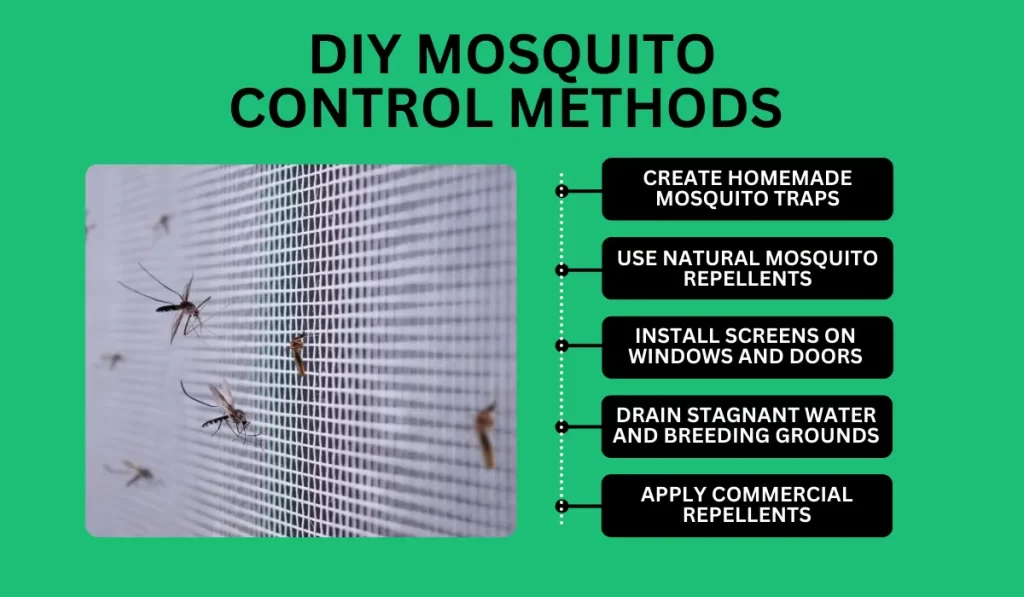 DIY Mosquito Control Methods