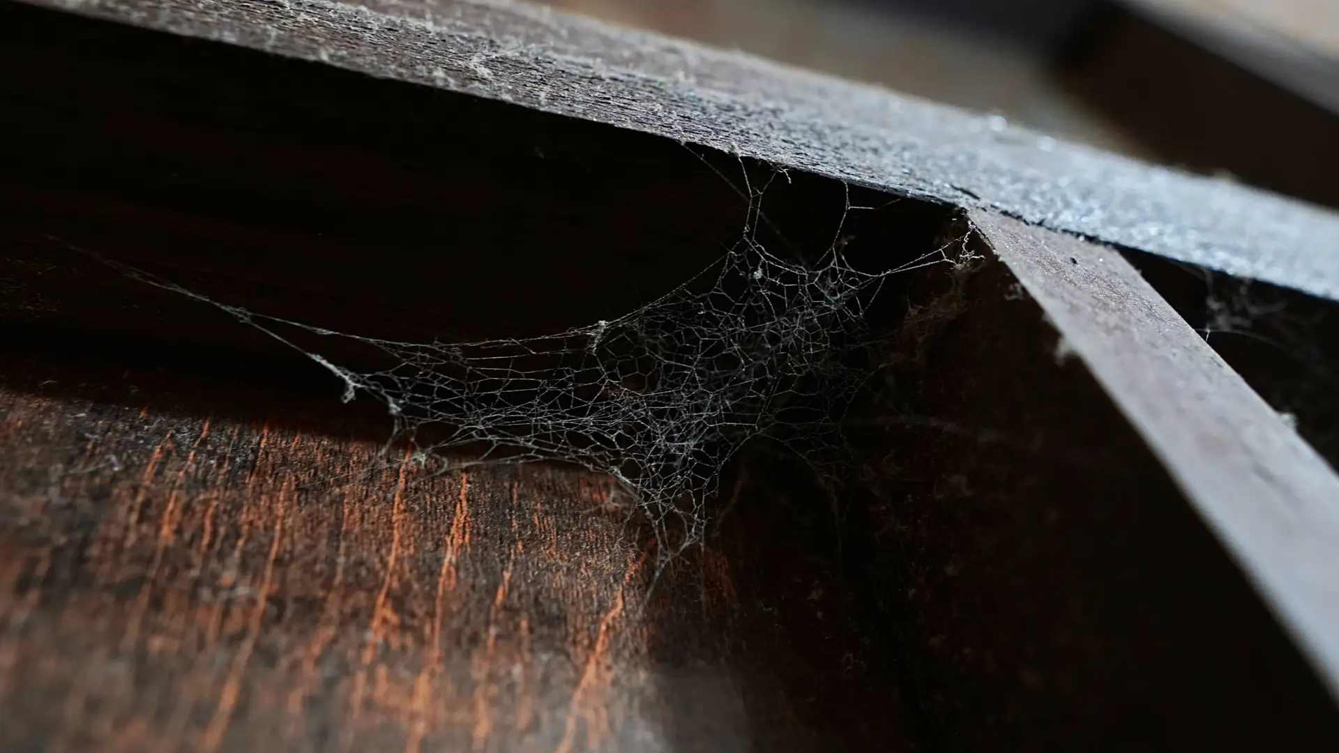 how to remove spider webs outside house